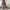 Irregular Copywriting Loose High Waist Wide Leg Casual Trousers