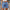 Women's Retro Elastic Waist Washed Casual Denim Shorts