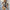 Ruffle Sleeve V-neck Abstract Printing Slim Fit Jumpsuit