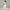 Womens Solid-Colored Top And Pants Minimalist Set