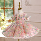 Girls Birthday Host Princess Dress