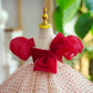 Girls One Year Old Celebration Dress Grab Pettiskirt