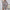 Women's Rugby Printed Long Sleeve Round Neck Pullover Dress