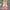 New High-grade Stand Collar Lantern Long Sleeve Waist-tight Printed Dress