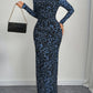 Elegant Womens Leopard-Print Sheer Long-Sleeve Bodycon Dress