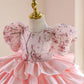 One-year-old Baby Girl Zhuazhou Princess Dress Light Luxury High-end Pettiskirt