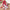 Baby Clothes Printed Pullover Hoodie Trousers Two-piece Set