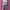 Women's retro ins classic ripped denim shorts