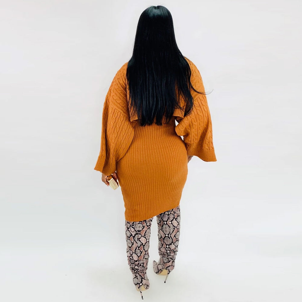 Beautiful women's turtleneck sweater