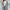 Loose Lapel Fluffy Coat Winter Button Jacket Cardigan Outwear For Women Clothing