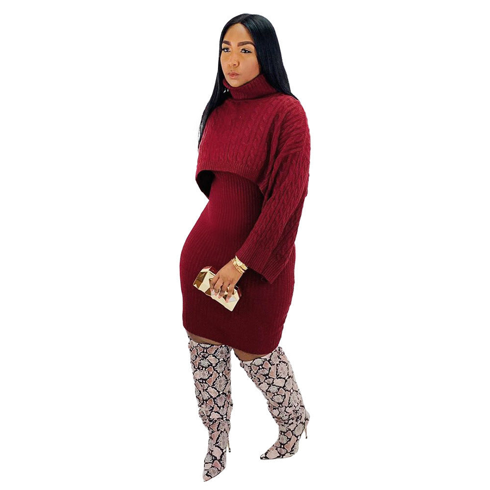 Beautiful women's turtleneck sweater