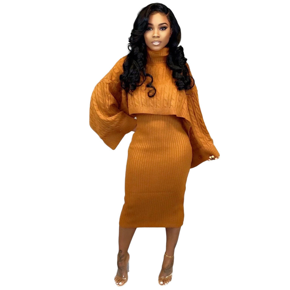 Beautiful women's turtleneck sweater