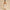 New Fashion Printing Slip Dress