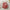 Baby Girl's Red Love Printing Sling