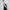 Black Camisole Backless Slim Fit Golden Flower Dress
