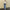Contrasting Stitching High-rise Straight-leg Jeans Women