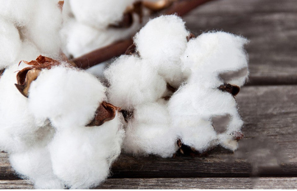 Pull à capuche sans bretelles à manches longues pour hommes et femmes de Linyue Clothing