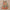 Sleeve Suspender Lace Bowknot African Bohemian Halter Dress