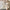 Children'S Skirts Korean Children'S Clothing Summer New Children'S Girls Fungus Shoulder Strap Skirt Girls Foreign