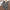 Spring and Autumn Korean Girls Plaid Suit Pants Little Girl Net Red Ocean Long Sleeve Top Shorts Two-piece Set