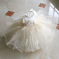 Princess Lace Dress Flower Girl Pettiskirt
