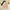 Pleated tulle skirt skirt dandelion embroidered long skirt