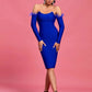 Long Sleeve Feather Women's Clothing Dress