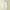 Large Size Womens Clothing Plus Obesity Mm200 Kg Spring