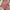 A- Line Short High Waist Floral Frill Hem Skirt