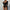 Fashion Long Sleeve Women's Jumpsuit