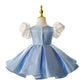 Little Host's Princess Dress
