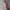 2pcs Knitted Suit Fashion Slim Sleeveless Long Dress And Casual Loose Cardigan Spring Fall Women's Clothing