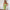 Fashion Women's Tie-up Wrap Bust Backless Solid Color Dress