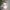 White Sheer Mesh Long-sleeve Bodycon Sheath Dress
