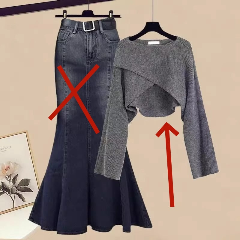Autumn Elegant Women's All-matching Long Sleeve Top Fishtail Skirt Two-piece Suit