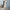 Cotton And Linen Loose Half Sleeve Contrast Paneled Dress