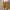 Chiffon large size wide leg pants half length loose printed shorts