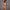 Off-the-shoulder Diagonal Neckline Fitted Long-sleeve Ruffled Bodysuit