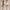 Women's Fashionable Casual V-Neck Printed Sleeveless Jumpsuit