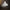 Flower Girl Wedding Little Girl Dress Autumn Children