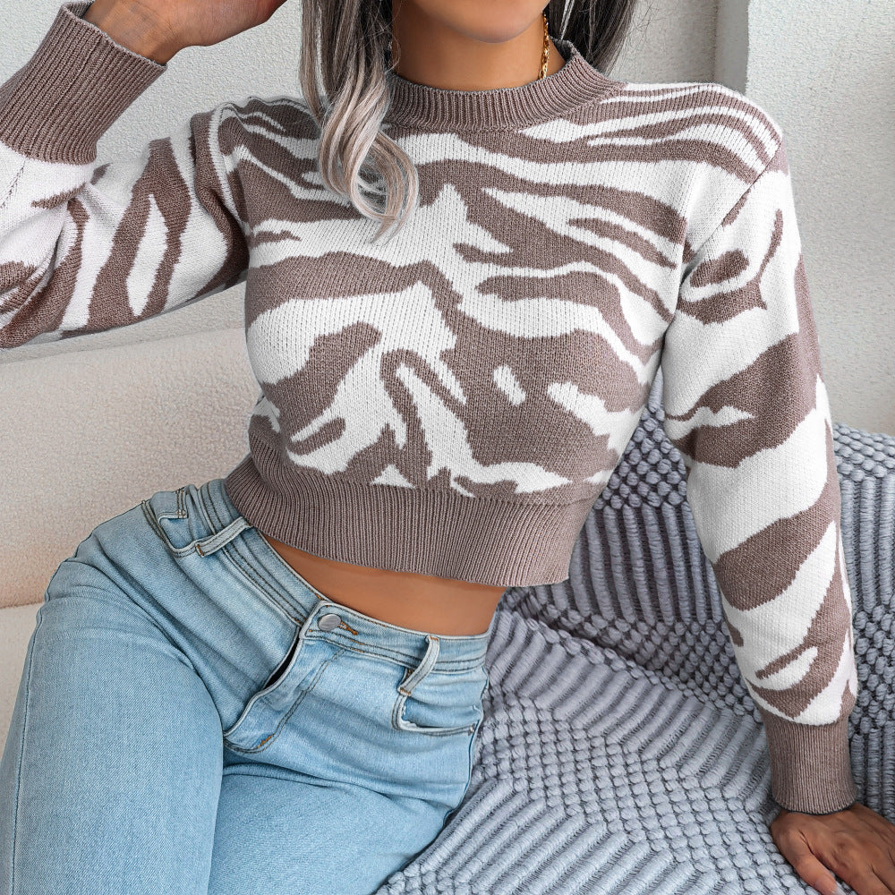 Long Sleeves Cropped Knitted Sweater For Women