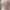 Light Luxury Annual Meeting Engagement Dress Bra