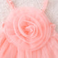 Baby And Toddler Floral Strap Mesh Dress