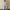 Girls' Embroidered Strap Vest Denim Straight-leg Pants Two-piece Set