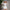 White Sheer Mesh Long-sleeve Bodycon Sheath Dress