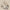 Pointed Toe Classy High Heels High-grade French Square Buckle
