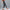 Fashion Loose Cool Slimming Jeans Ladies