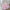 Girl's New Fashionable Baby Cake Dress