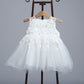 Pleine lune de bébé, robe de mariée de bébé, robe de princesse, robe d'enfant, bonnet en dentelle, robe duveteuse, studio photo 