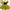 Host Catwalk Piano Performance Costume Green